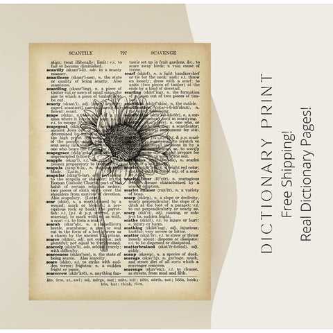Sun Flower Blooming Dictionary Print