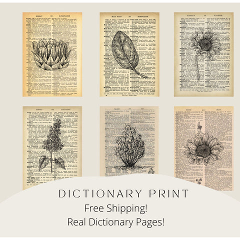 Set of 6 Flower Dictionary Print