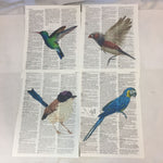Set of 4 Birds Theme Dictionary Prints