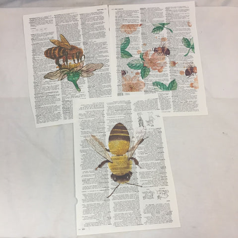 Set of 3 Bee Theme Dictionary Prints