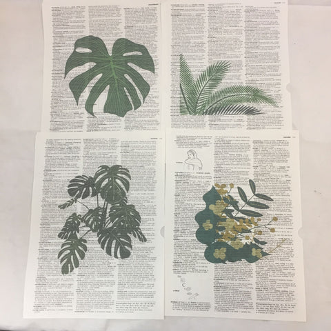 Set of 5 Leaves Theme Dictionary Prints