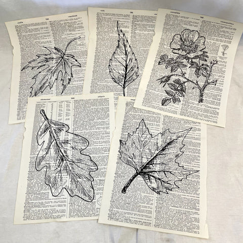Set of 5 Leaf Dictionary Prints